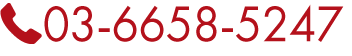 03-6658-5247